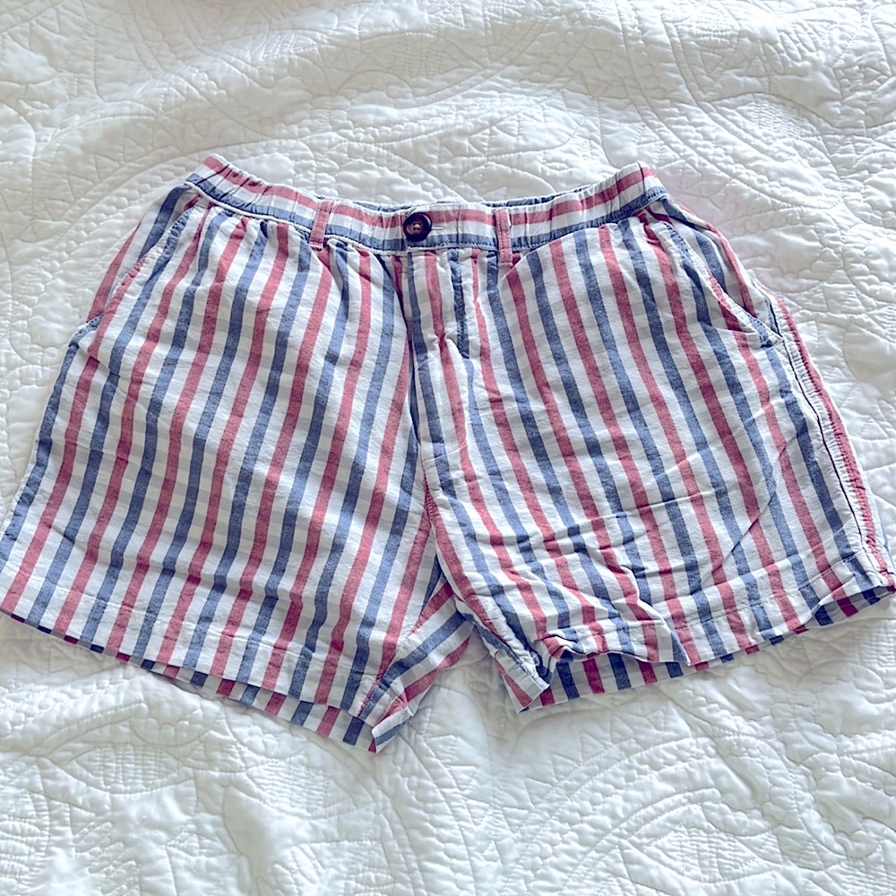 Chubbies striped shorts